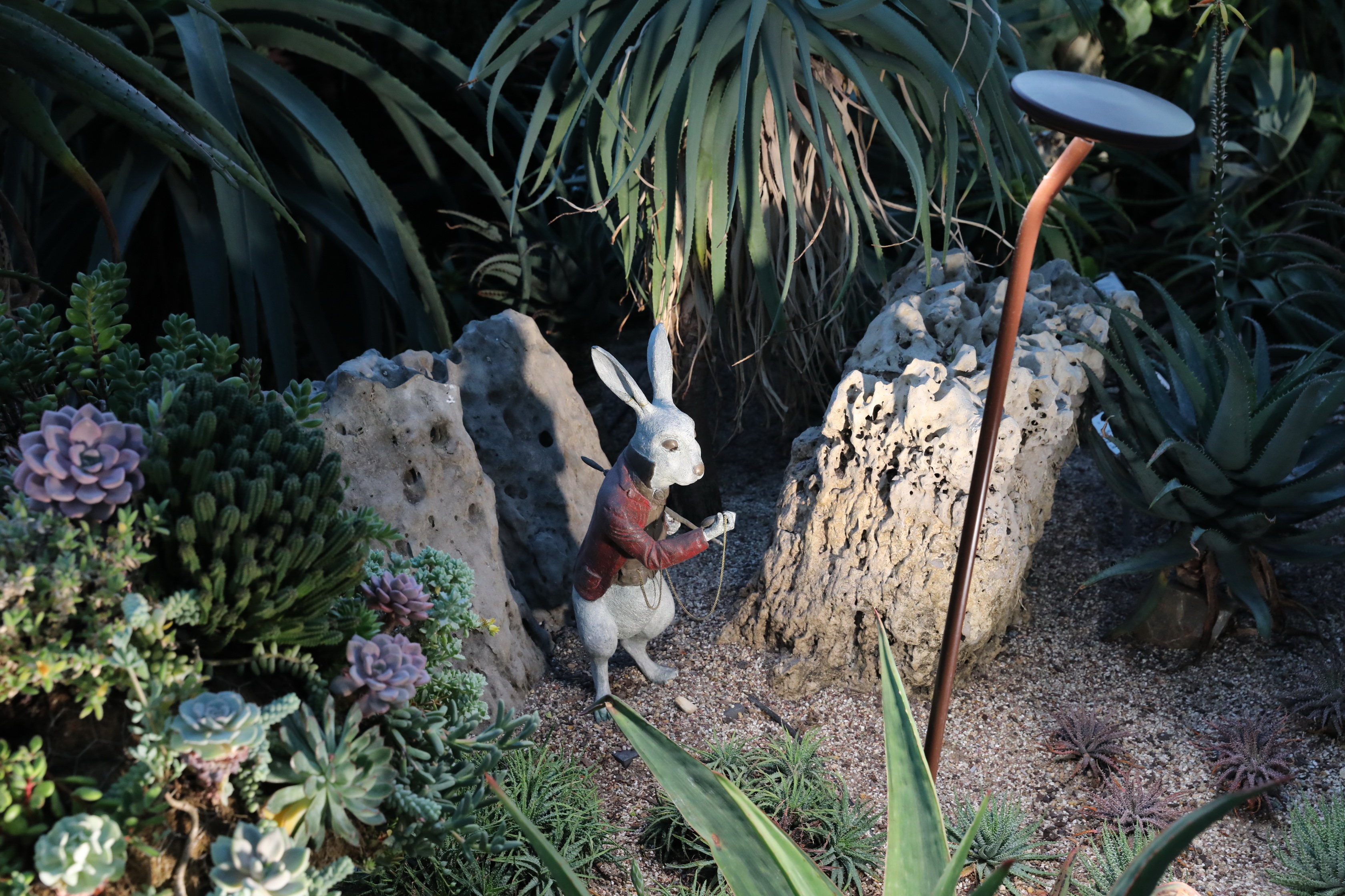 2020 02 03 19 10 00 Canon EOS 5D Mark IV 0074